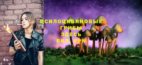 марки lsd Нязепетровск