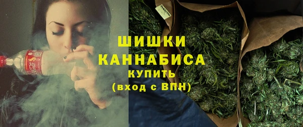 первитин Новозыбков