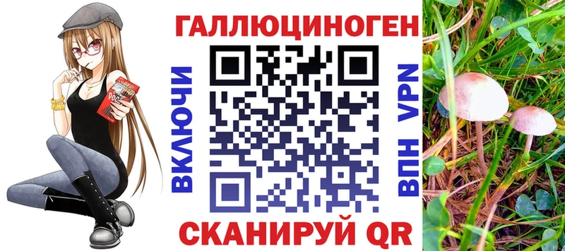закладки  Сольцы  OMG сайт  Псилоцибиновые грибы MAGIC MUSHROOMS 